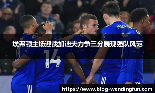 埃弗顿主场迎战加迪夫力争三分展现强队风范